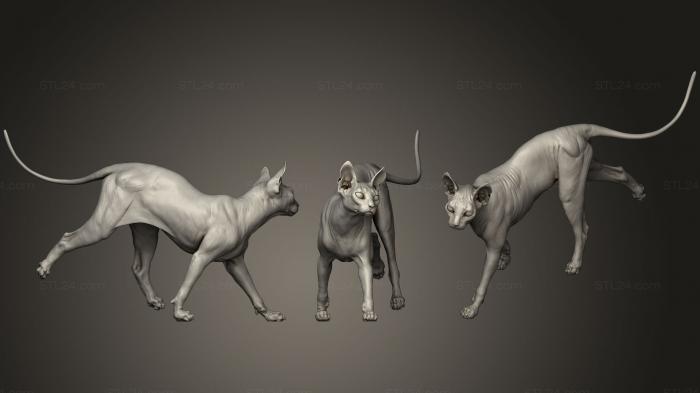 Статуэтки животных (Кошка-сфинкс, STKJ_1489) 3D модель для ЧПУ станка